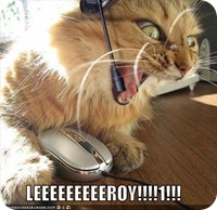 lolcats-funny-pictures-leroy-jenkins