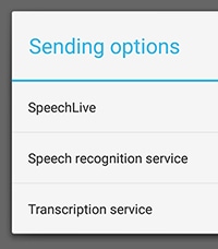 Transcription Options
