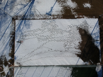 Basketball court covered in snow.