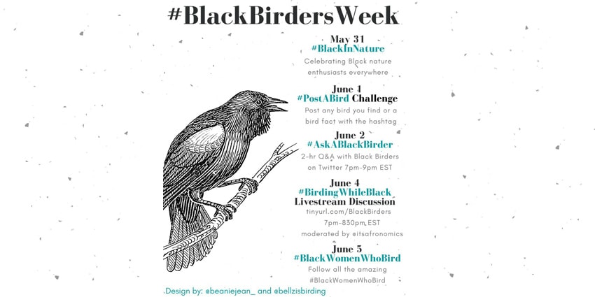 Black Birders Week Programming
